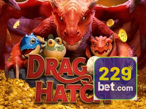 229BET PIX instantâneo Brasil - Depósito e saque em minutos 24/7